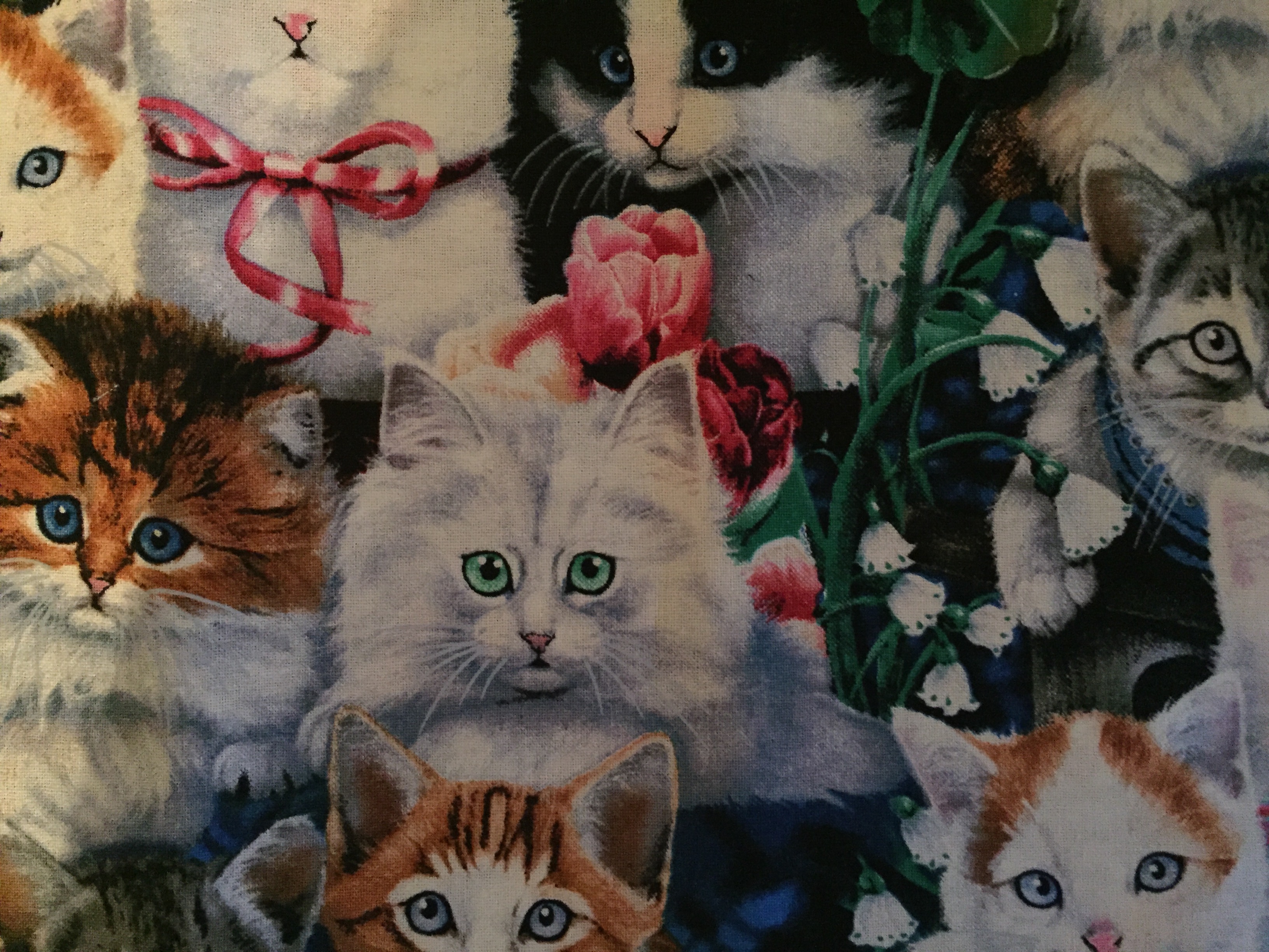 Kittens Apron Kittens Apron