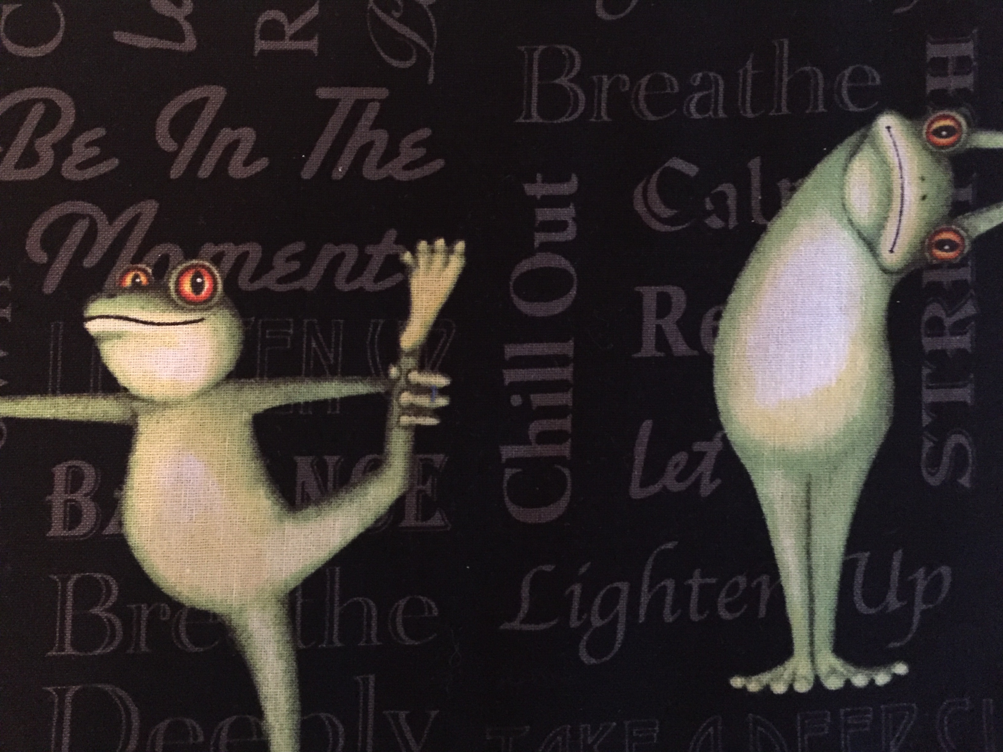 Yoga Frog Apron Yoga Frog Apron